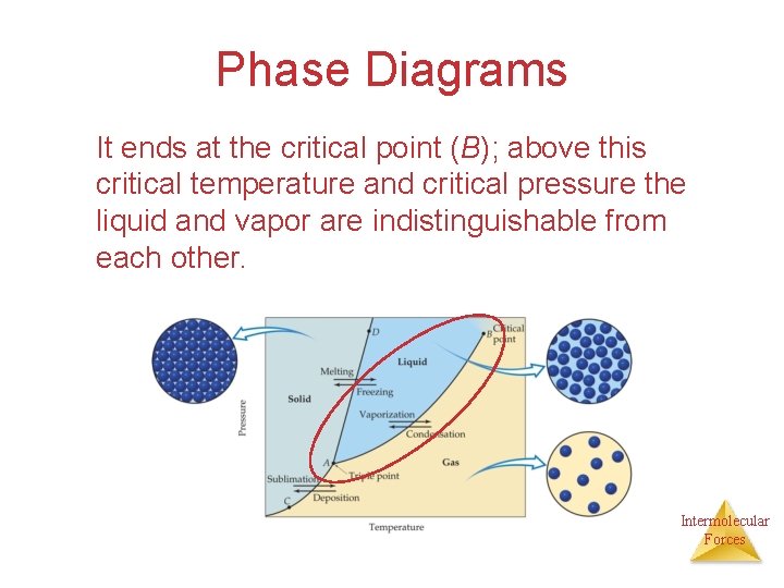 Phase Diagrams It ends at the critical point (B); above this critical temperature and Phase Diagrams It ends at the critical point (B); above this critical temperature and