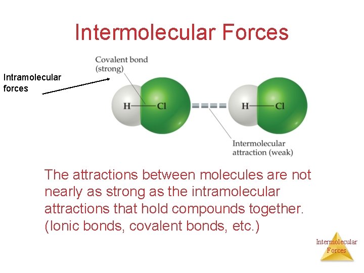 Intermolecular Forces Intramolecular forces The attractions between molecules are not nearly as strong as