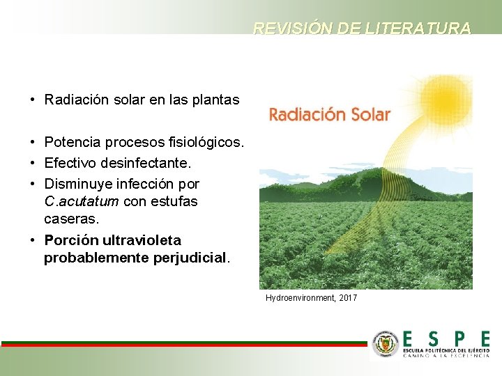 REVISIÓN DE LITERATURA • Radiación solar en las plantas • Potencia procesos fisiológicos. •