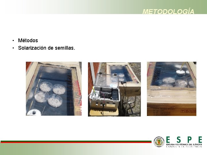 METODOLOGÍA • Métodos • Solarización de semillas. 