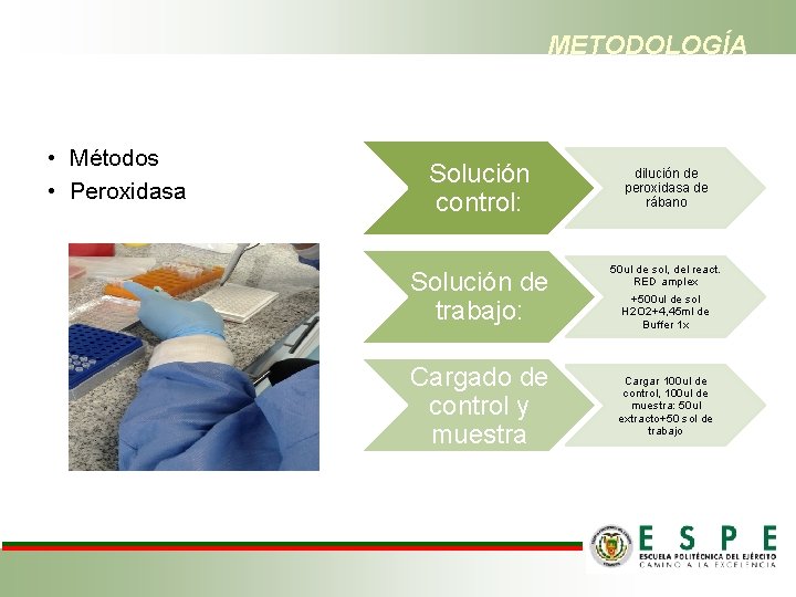 METODOLOGÍA • Métodos • Peroxidasa Solución control: dilución de peroxidasa de rábano Solución de