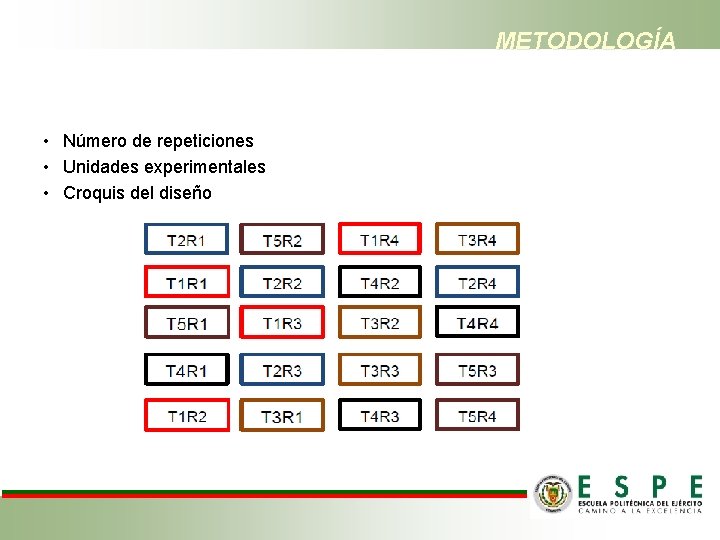 METODOLOGÍA • Número de repeticiones • Unidades experimentales • Croquis del diseño 