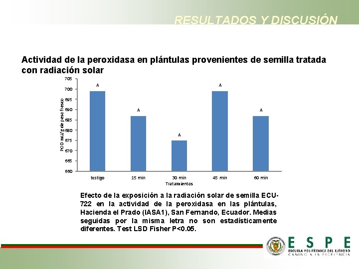 RESULTADOS Y DISCUSIÓN Actividad de la peroxidasa en plántulas provenientes de semilla tratada con