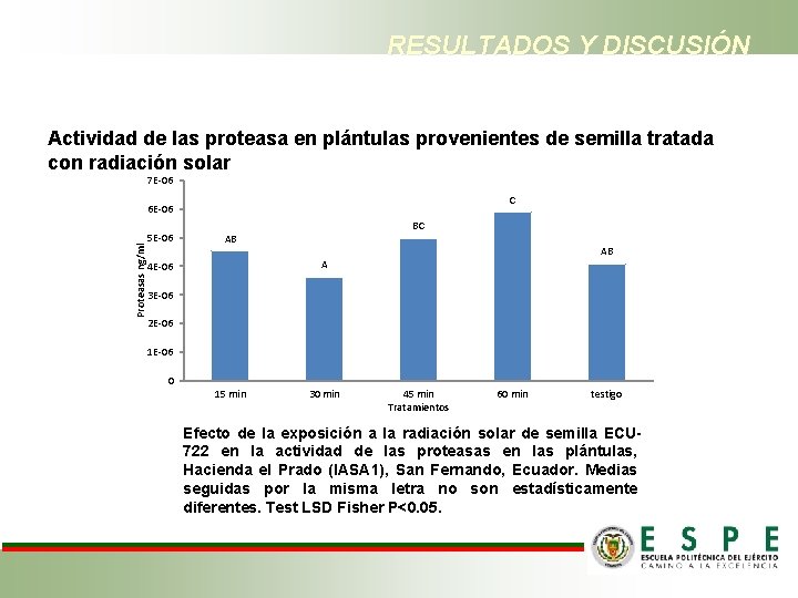 RESULTADOS Y DISCUSIÓN Actividad de las proteasa en plántulas provenientes de semilla tratada con