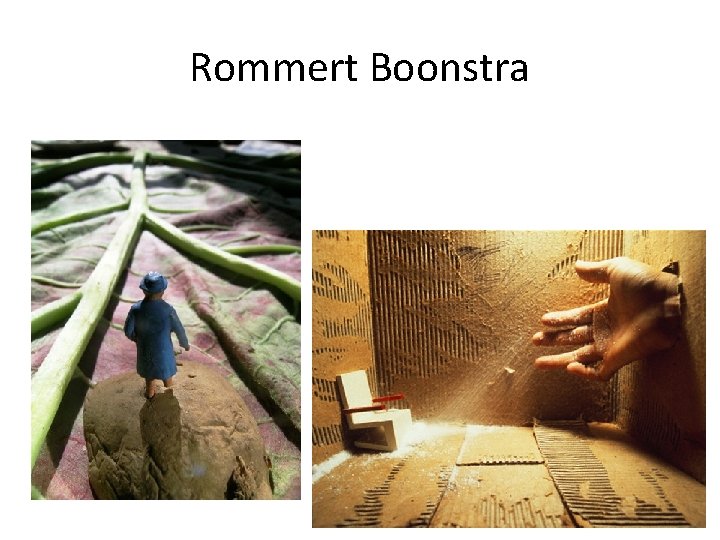 Rommert Boonstra 