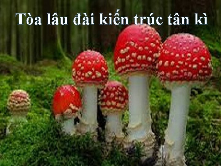 Tòa lâu đài kiến trúc tân kì 