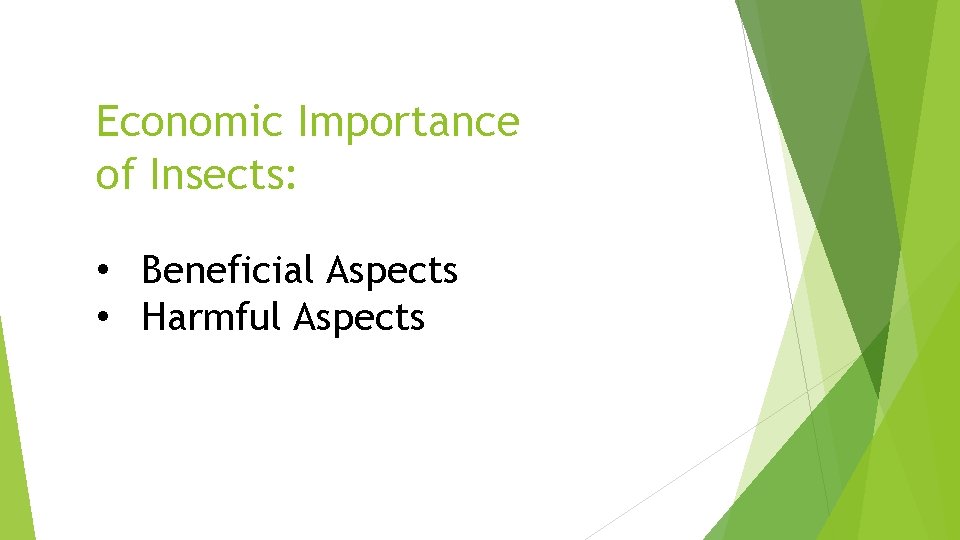 Economic Importance of Insects: • Beneficial Aspects • Harmful Aspects 