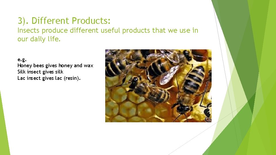 3). Different Products: Insects produce different useful products that we use in our daily