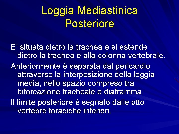 Loggia Mediastinica Posteriore E’ situata dietro la trachea e si estende dietro la trachea