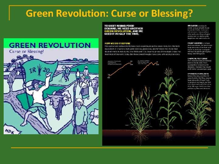 Green Revolution: Curse or Blessing? 