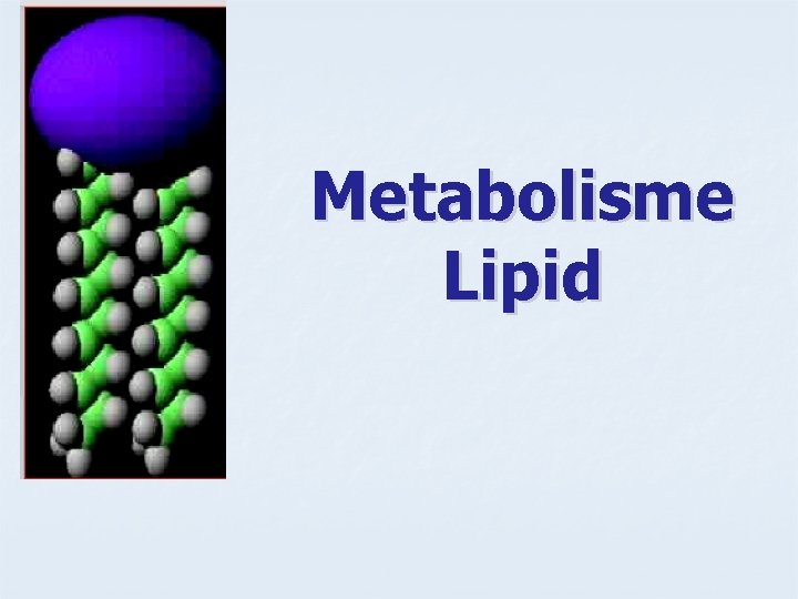 Metabolisme Lipid 