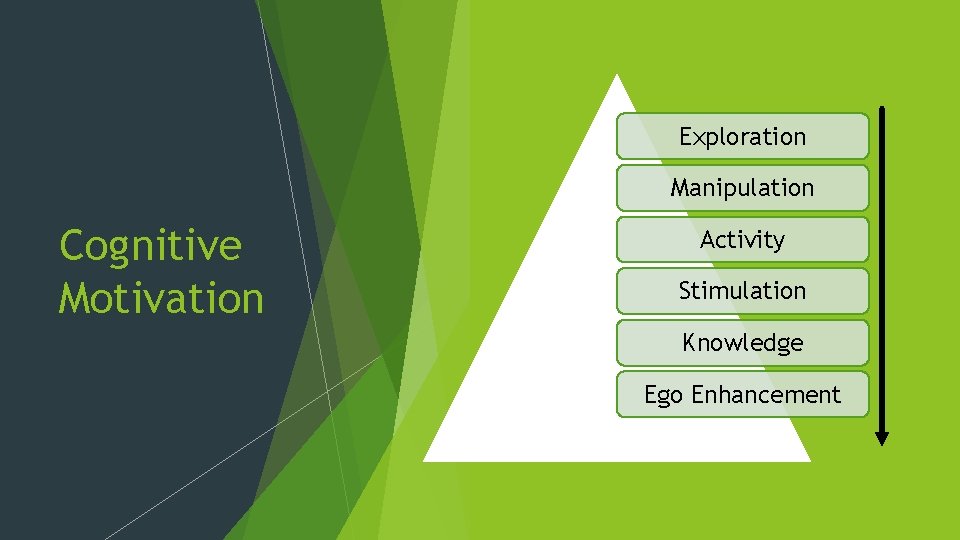 Exploration Manipulation Cognitive Motivation Activity Stimulation Knowledge Ego Enhancement 