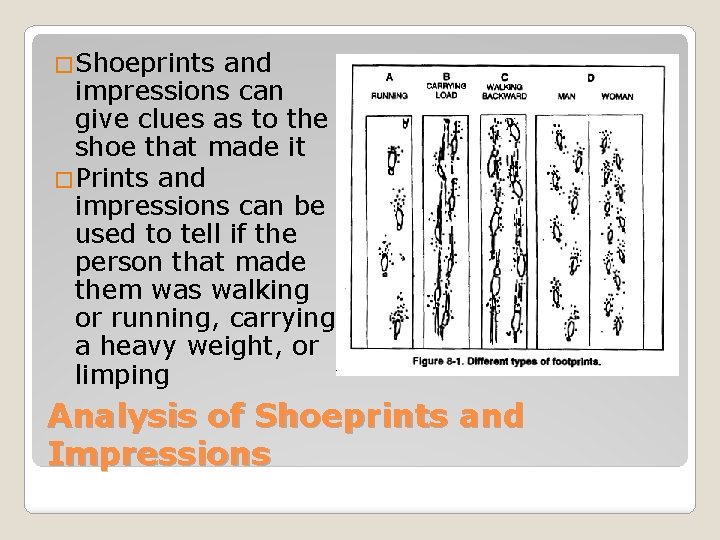 �Shoeprints and impressions can give clues as to the shoe that made it �Prints