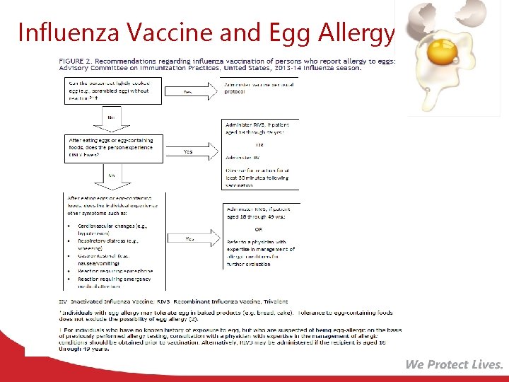 Influenza Vaccine and Egg Allergy 