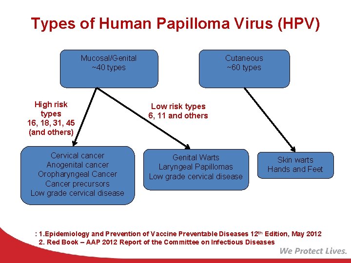 Types of Human Papilloma Virus (HPV) Mucosal/Genital ~40 types High risk types 16, 18,