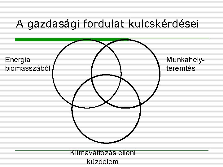 A gazdasági fordulat kulcskérdései Energia biomasszából Munkahelyteremtés Klímaváltozás elleni küzdelem 