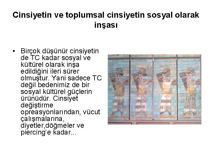 Cinsiyetin ve toplumsal cinsiyetin sosyal olarak inşası • Birçok düşünür cinsiyetin de TC kadar