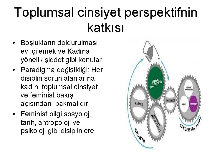 Toplumsal cinsiyet perspektifnin katkısı • Boşlukların doldurulması: ev içi emek ve Kadına yönelik şiddet