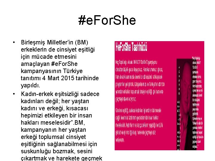 #e. For. She • Birleşmiş Milletler’in (BM) erkeklerin de cinsiyet eşitliği için mücade etmesini