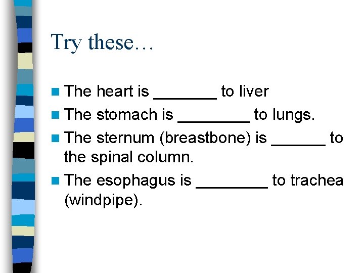 Try these… n The heart is _______ to liver n The stomach is ____