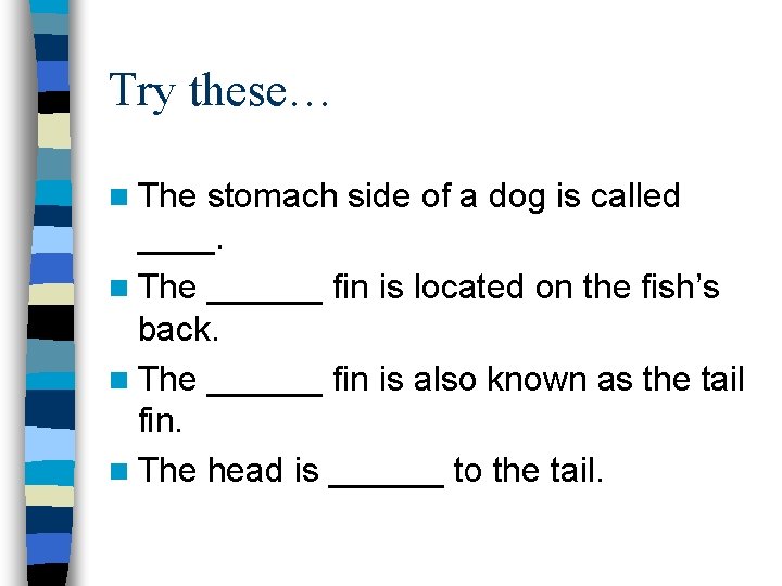 Try these… n The stomach side of a dog is called ____. n The