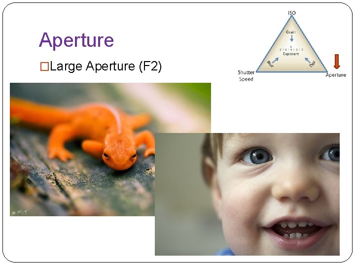 Aperture �Large Aperture (F 2) 