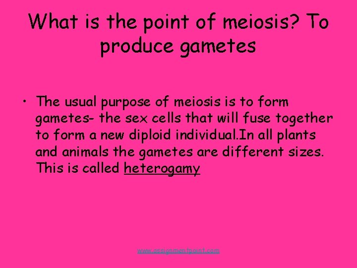 What is the point of meiosis? To produce gametes • The usual purpose of
