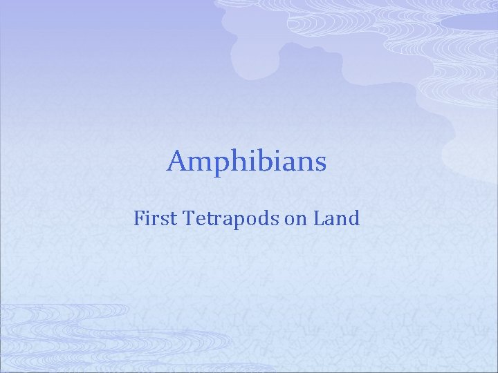 Amphibians First Tetrapods on Land 