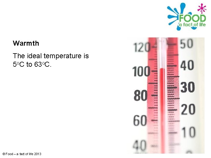 Warmth The ideal temperature is 5 o. C to 63 o. C. © Food