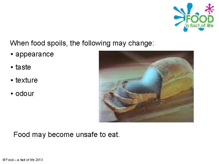 When food spoils, the following may change: • appearance • taste • texture •