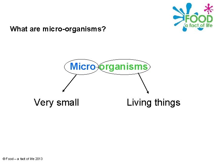 What are micro-organisms? Micro-organisms Very small © Food – a fact of life 2013