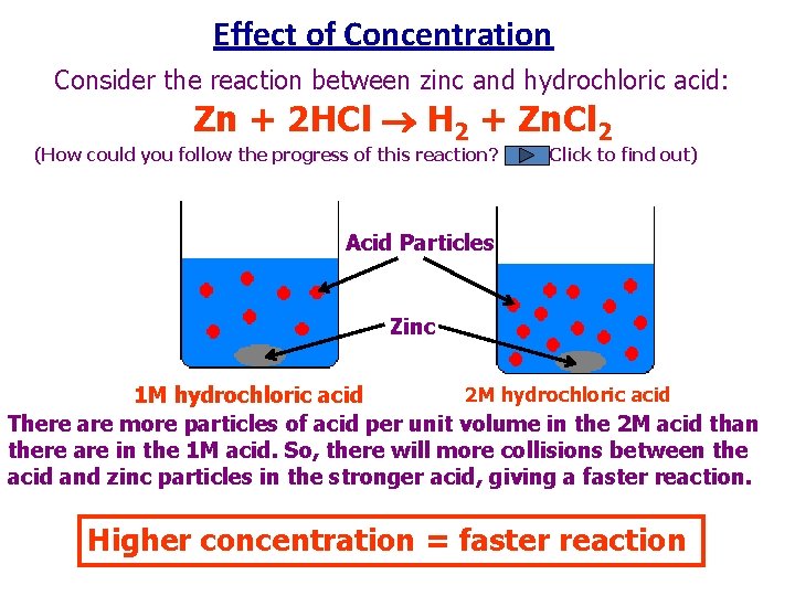 Effect of Concentration Consider the reaction between zinc and hydrochloric acid: Zn + 2