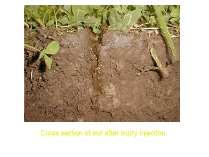 Cross section of soil after slurry injection 