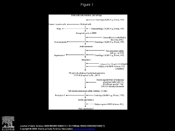 Figure 1 Journal of Dairy Science 2006 893285 -3295 DOI: (10. 3168/jds. S 0022