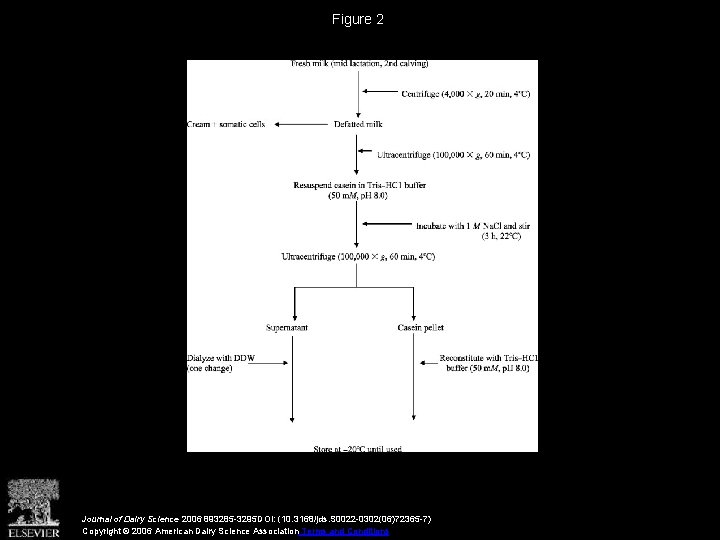 Figure 2 Journal of Dairy Science 2006 893285 -3295 DOI: (10. 3168/jds. S 0022