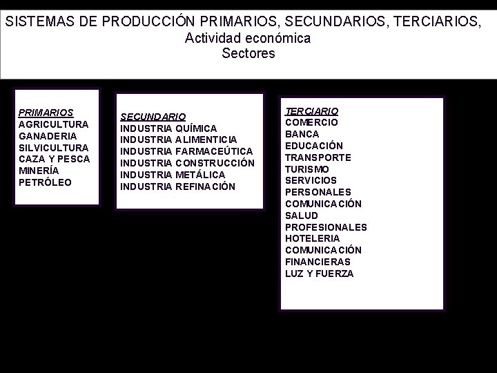 SISTEMAS DE PRODUCCIÓN PRIMARIOS, SECUNDARIOS, TERCIARIOS, Actividad económica Sectores PRIMARIOS AGRICULTURA GANADERIA SILVICULTURA CAZA