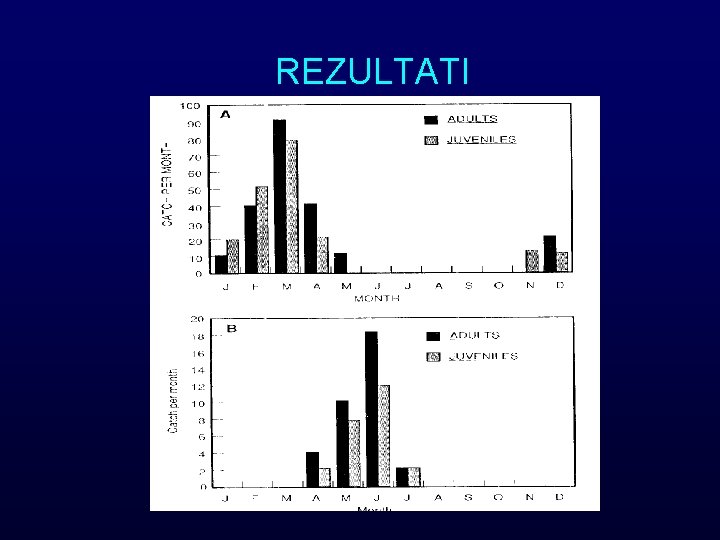 REZULTATI 