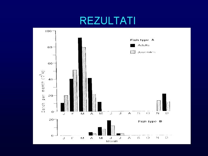 REZULTATI 