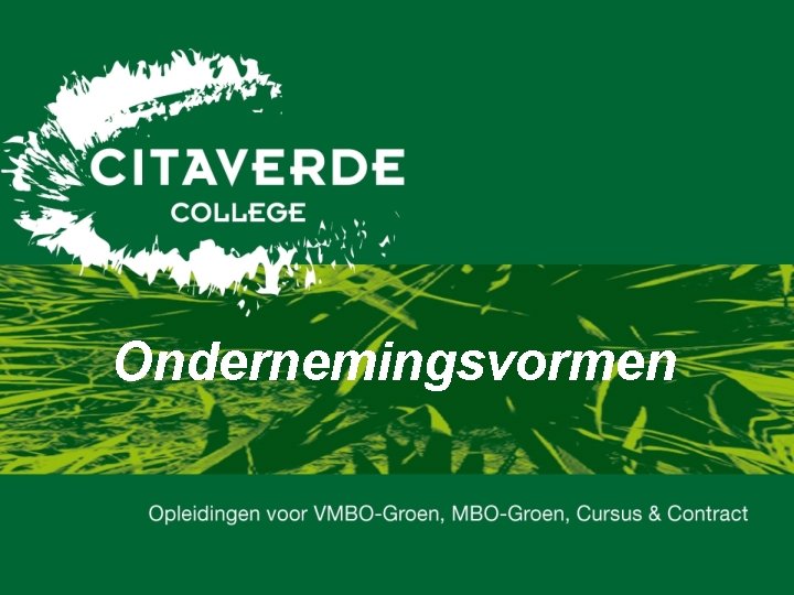 Ondernemingsvormen 