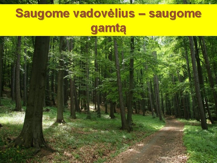 Saugome vadovėlius – saugome gamtą 