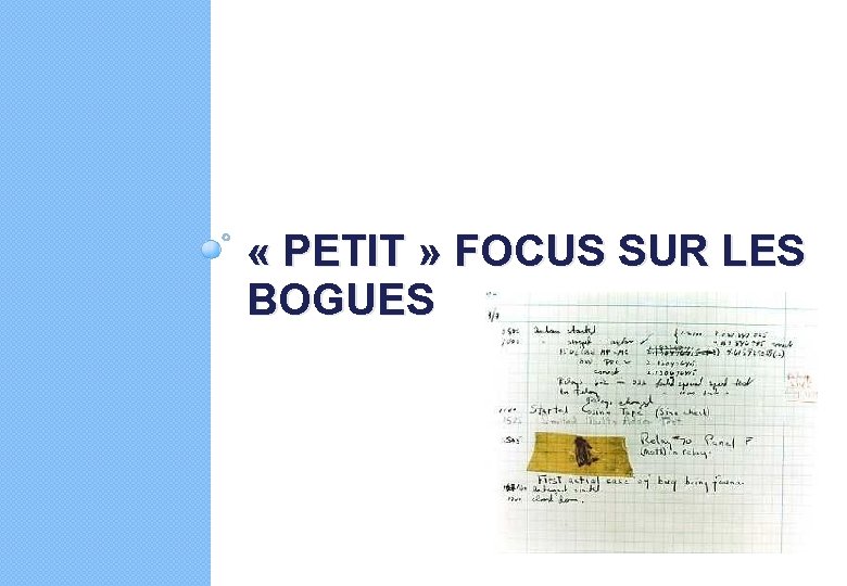  « PETIT » FOCUS SUR LES BOGUES 