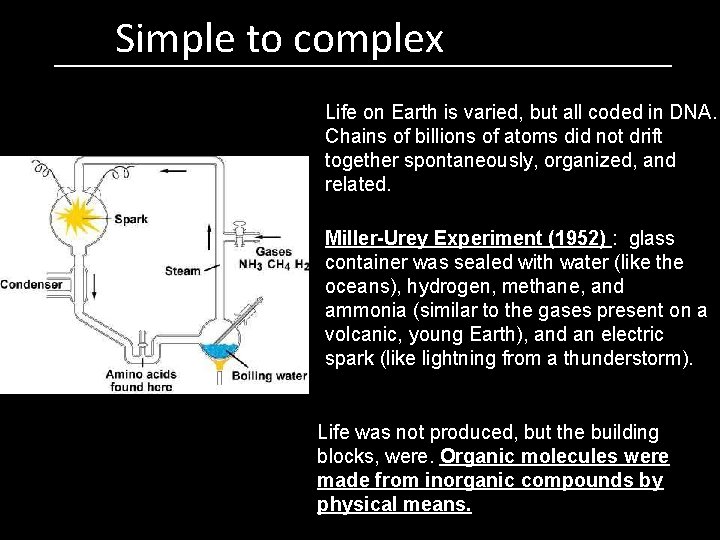 Simple to complex Life on Earth is varied, but all coded in DNA. Chains