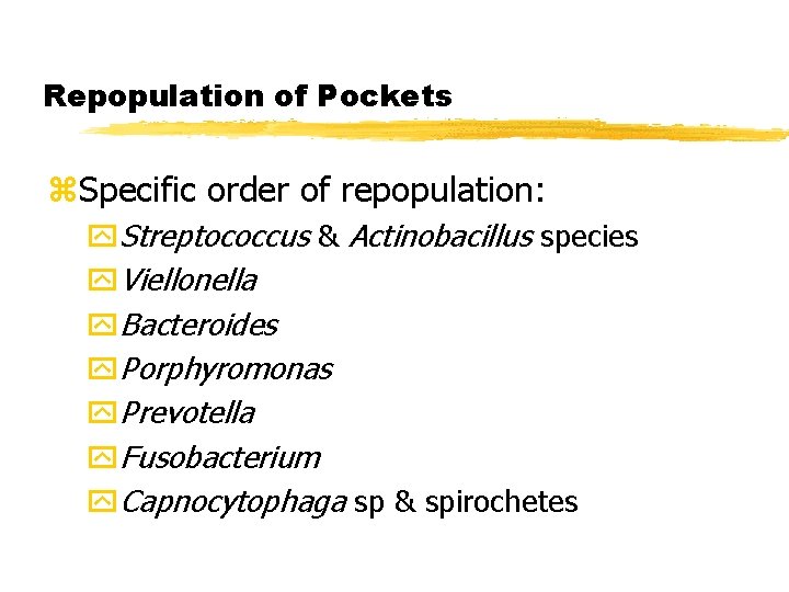 Repopulation of Pockets z. Specific order of repopulation: y. Streptococcus & Actinobacillus species y.