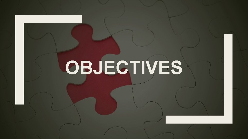 OBJECTIVES 19 OBJECTIVES 19