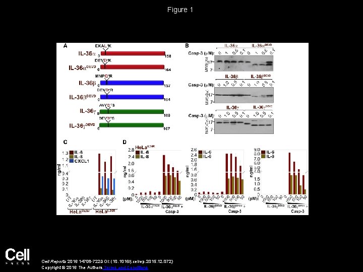 Figure 1 Cell Reports 2016 14708 -722 DOI: (10. 1016/j. celrep. 2015. 12. 072)