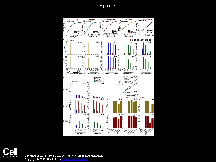 Figure 3 Cell Reports 2016 14708 -722 DOI: (10. 1016/j. celrep. 2015. 12. 072)