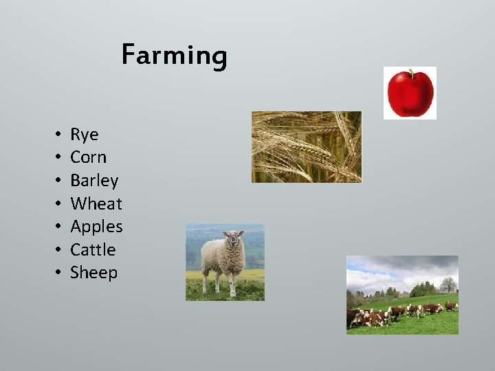 Farming • • Rye Corn Barley Wheat Apples Cattle Sheep 