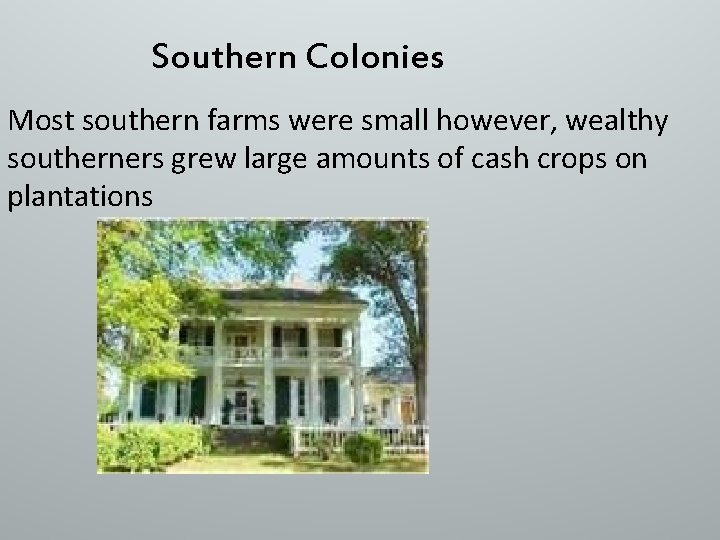 Southern Colonies Most southern farms were small however, wealthy southerners grew large amounts of