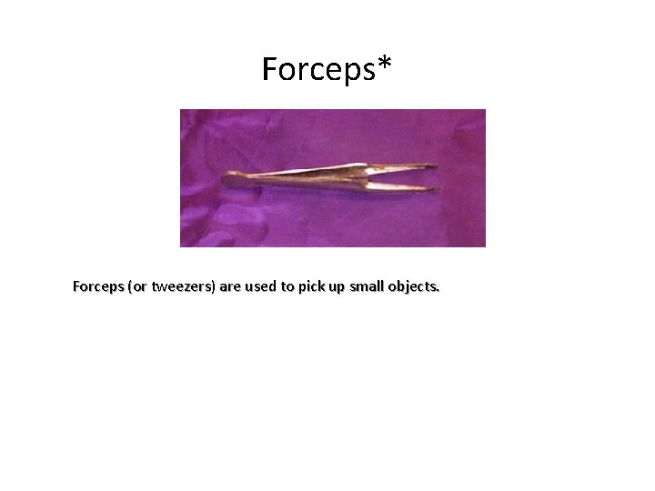 Forceps* Forceps (or tweezers) are used to pick up small objects. 