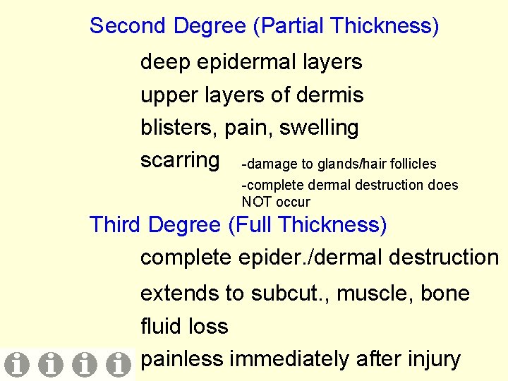 Second Degree (Partial Thickness) deep epidermal layers upper layers of dermis blisters, pain, swelling